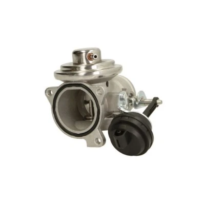 Afbeelding van ENGITECH ENT500089 EGR klep VOLKSWAGEN: Golf 5, Polo IV Hatchback, 4, SEAT: Ibiza 3, Leon II SKODA: Fabia I Hatchback