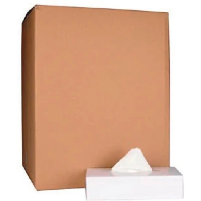 Afbeelding van Papieren zakdoek, 2 laags, 100 tissues per doos, pak van 40 doosjes zakdoekjes