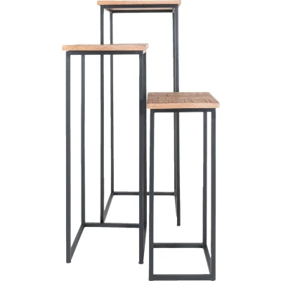 Afbeelding van Home67 Plantentafels Sam Vierkant Set van 3 Bruin Mangohout