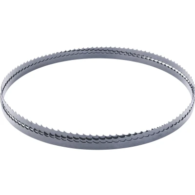 Afbeelding van Scheppach Zaagband 1400 x 6,4 0,35 mm lintzaagblad met 6 tanden per inch geschikt voor HBS30 vervangend zaagblad
