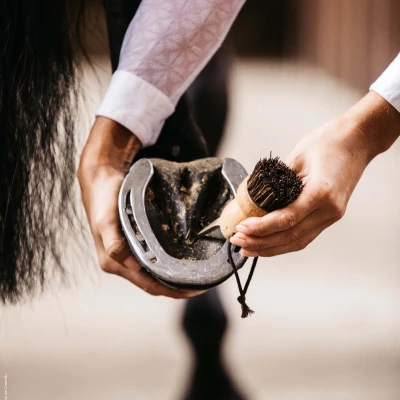 Image de Kentucky Cure Pied Petit