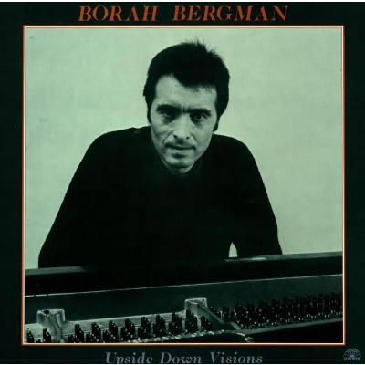 Afbeelding van Borah Bergman Upside Down Visions