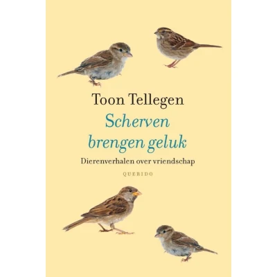 Afbeelding van Scherven brengen geluk