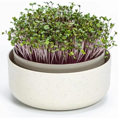 Afbeelding van Urbalive Grote kiembak 16 cm kweekbak voor kiemen, waterkerszaden, microgreens Design tuinkers zeef van hoogwaardig kunststof kiemapparaat