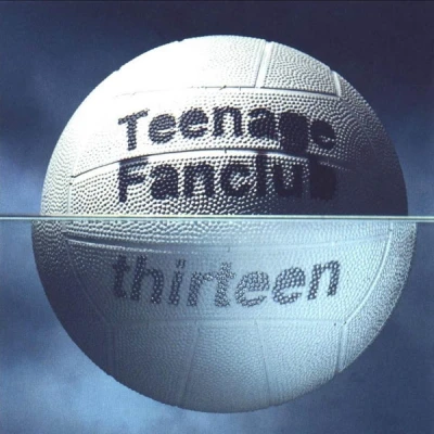 Afbeelding van Thirteen Lp+7/Remast Teenage Fanclub