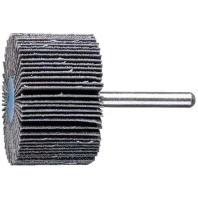 Afbeelding van PFERD 44450080 Lamellenschijf Diameter 50 mm 10 stuk(s)