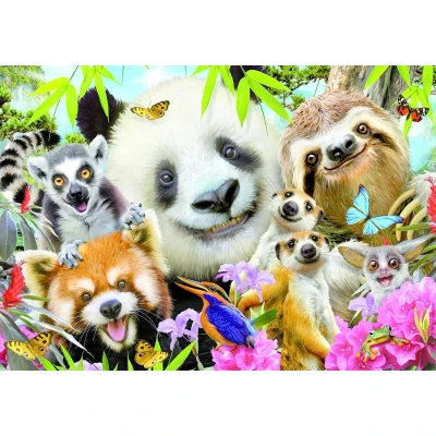 Afbeelding van Selfie met Panda en zijn vrienden