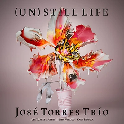 Afbeelding van Jose Torres Trio (Un)Still Life (CD)