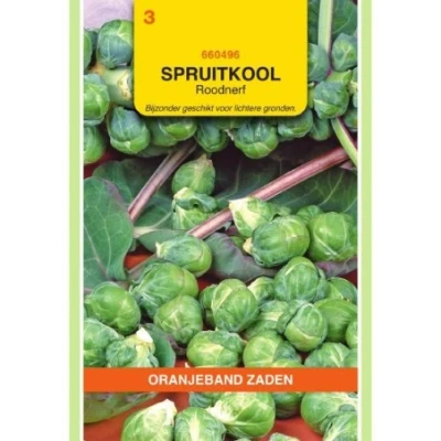 Afbeelding van Spruitkool roodnerf