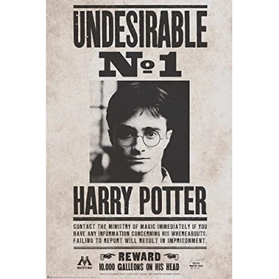 Afbeelding van HARRY POTTER Indesirable N1 Poster 91x61cm