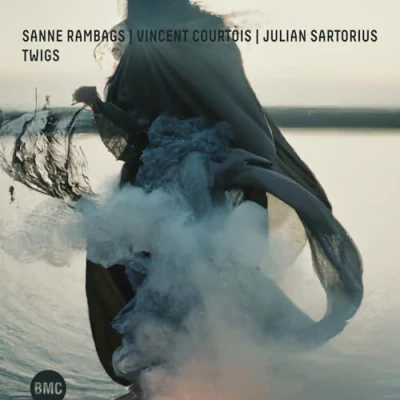 Afbeelding van Sanne Rambags, Vincent Courtois &amp; Julian Sartori Twigs (CD)