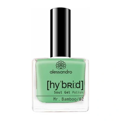 Image de Alessandro Hybrid Soul Gel Polish 133 Mr. Bamboo 8 ml