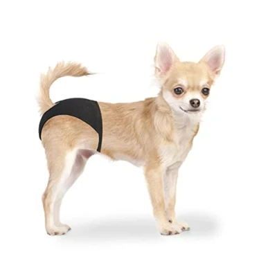 Afbeelding van Duvo Honden Loopsheidbroekje XS 18 23 cm