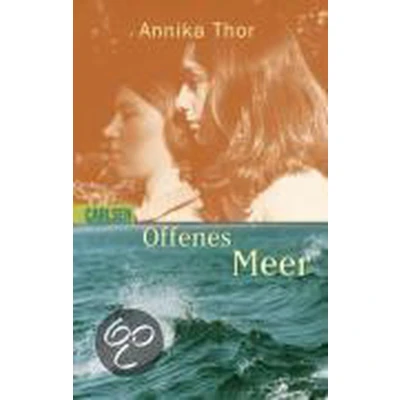Afbeelding van Offenes Meer