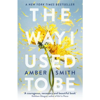 Image de The Way I Used to Be