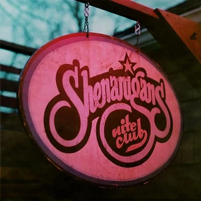 Afbeelding van Goose Shenanigans Nite Club (2 LP) (Coloured Vinyl)