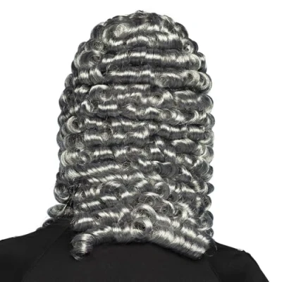 Afbeelding van Boland Pruik Rechter Grijs Krullen Lang Mannen