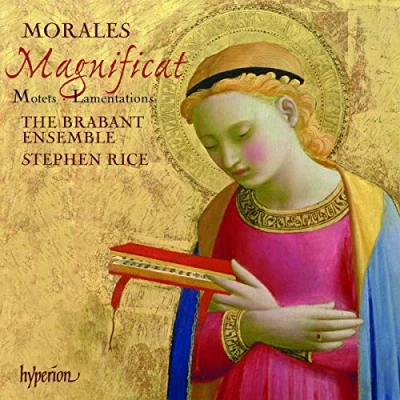 Afbeelding van The Brabant Ensemble Magnificat, Motets &amp; Lamentations (CD)