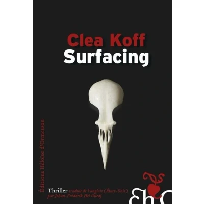Image de Surfacing