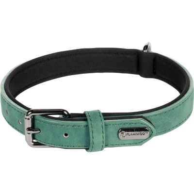 Afbeelding van Delu halsband hond groen M