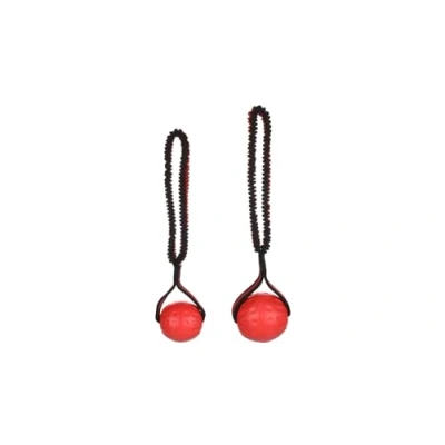 Afbeelding van Flamingo Strekta Speelgoed Honden Hs Tpr Bal + Bungee L 38,5x9,5x8,5cm 1st 137665
