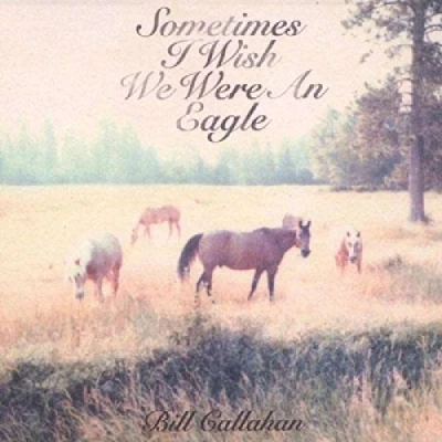 Afbeelding van Bill Callahan Sometimes I Wish We Were (LP)