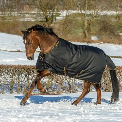 Afbeelding van Bucas Irish Turnout 150g Black/Gold 155 155/206 Agradi.be