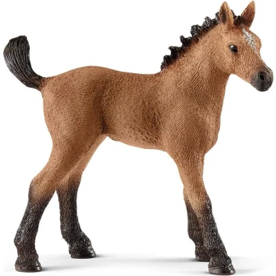 Afbeelding van Schleich Quarter Veulen