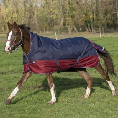 Afbeelding van EQUITHÈME Deken Tyrex 1200D 150g met Halve Hals Navy 125/175