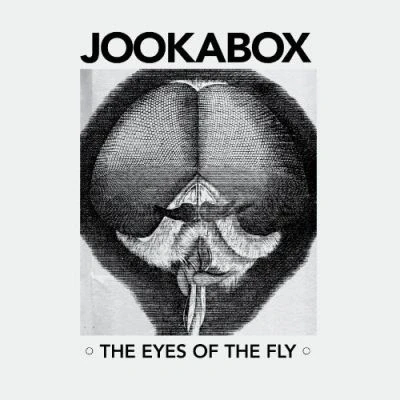 Afbeelding van Jookabox Eyes of the Fly (LP)
