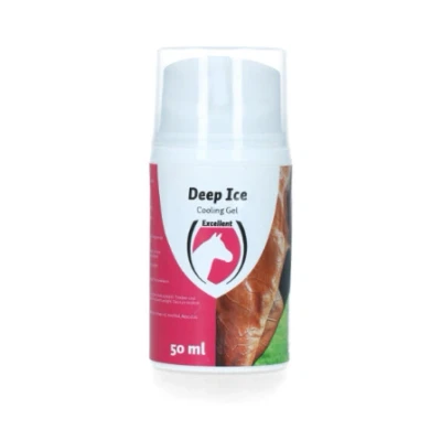 Image de Excellent Deep Ice Gel