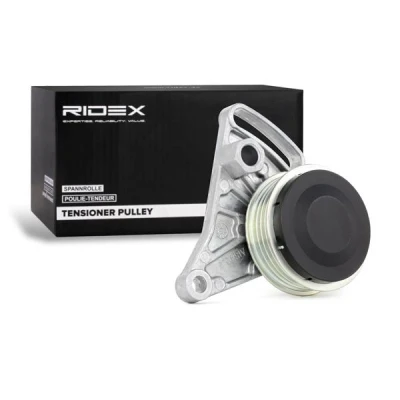Afbeelding van Ina Spanrol (poly) V riem 531 0309 10