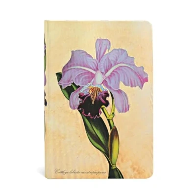 Afbeelding van Braziliaans Orchidee notitieboek met harde kaft Mini Ongelinieerd 176 p.: Unlined
