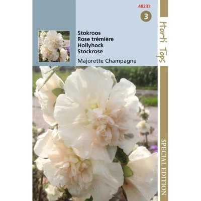 Afbeelding van HTS Althaea (Alcea) Stokroos Majorette Champagne Hortitops