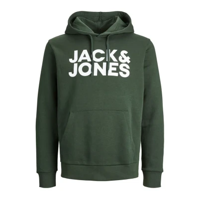 Afbeelding van Jack &amp; Jones Ecorp LOGO NOOS Hoodie, Heren, Maat: Large, Mountain view fit reg /large print
