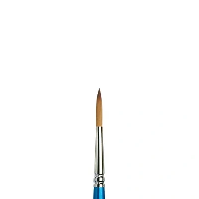Afbeelding van Winsor &amp; Newton Cotman Aquarelkwast serie 111, rond, korte handgreep, nr. 7