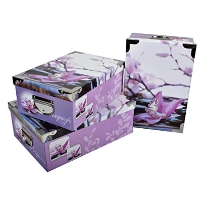 Afbeelding van 2.J. Orchidee, Set van 3 Grote Uitschuifbare Opbergdozen met Stapelbaar Deksel Bedrukt Kiezeldecor, Metalen Hoeken En Handvaten. T: 31.5x22x12, 33.5x23x13, 36x25x13.5cm