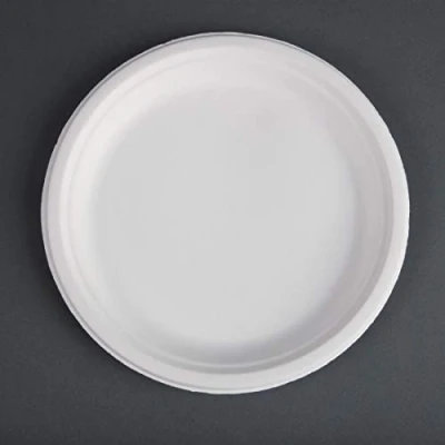 Afbeelding van Fiesta Compostable composteerbare bagasse borden 26cm (50 stuks)