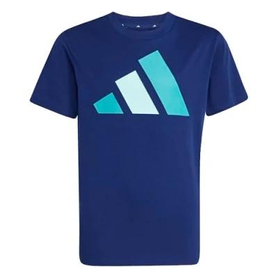 Afbeelding van adidas ESSENTIALS Big Logo T shirt voor kinderen, uniseks