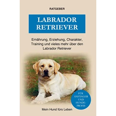 Afbeelding van Labrador Retriever