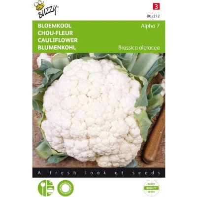 Afbeelding van Bloemkool Alpha 7