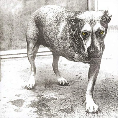 Afbeelding van Alice In Chains