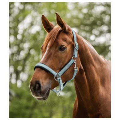 Afbeelding van Waldhausen Halster Mesh Alpine Blue Cob