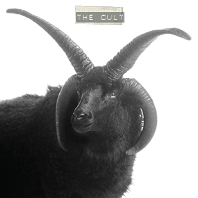 Afbeelding van Cult (2 LPs)