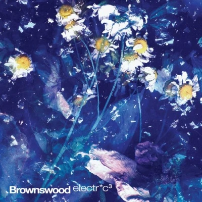 Afbeelding van Brownswood Electric 3