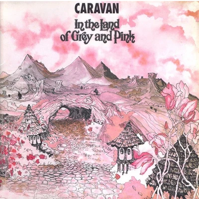 Afbeelding van Caravan In The Land Of Grey And Pink (2 LP) (Coloured Vinyl)