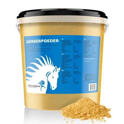 Image de Gingembre Cheval 3000 gr. Epices
