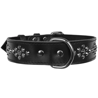 Afbeelding van Zwarte, lederen halsband met studs, hondenhalsband 40mm/67cm