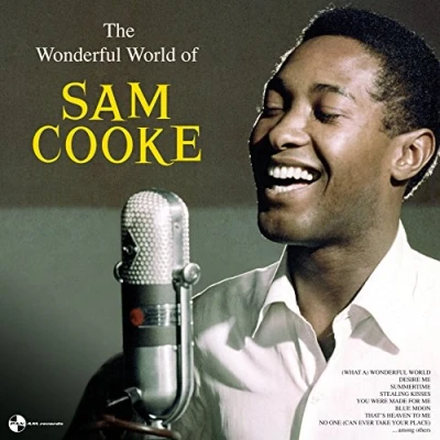 Afbeelding van Sam Cooke Wonderful World of (LP)