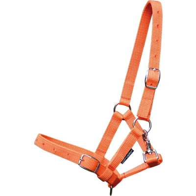 Afbeelding van Harry&#039;s Horse Veulenhalster Oranje